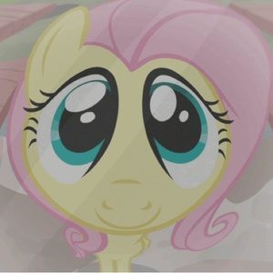 Meet your Posher, Jan